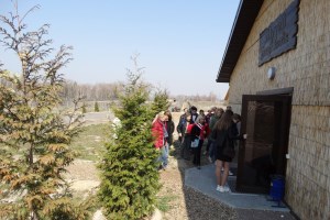 Музей диких котів в парку природи Беремицьке